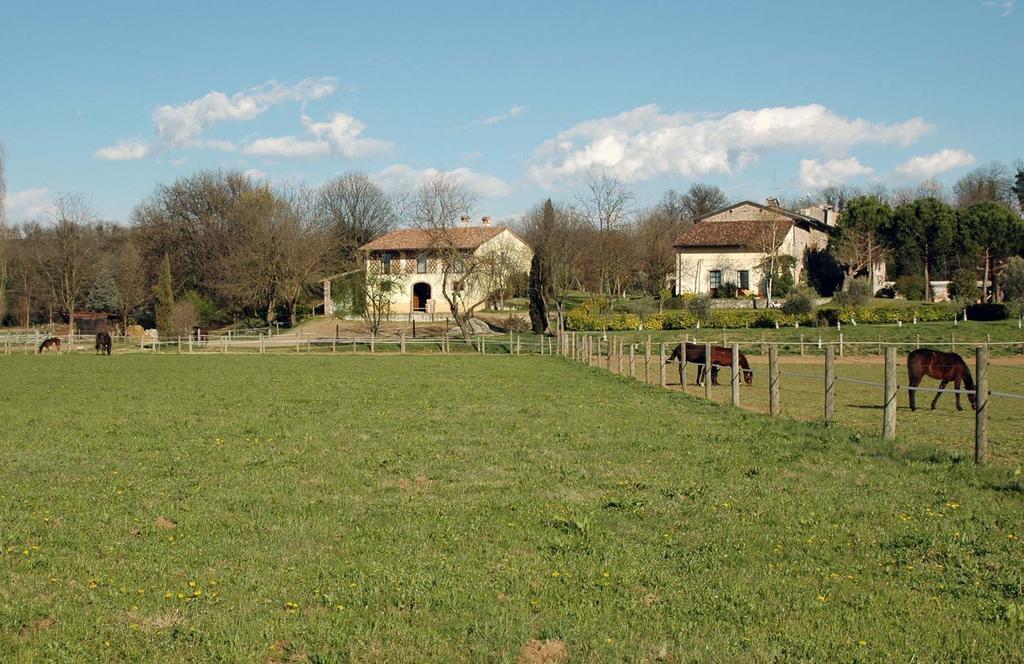 Agriturismo Trebisonda Country Resort Monzambano Εξωτερικό φωτογραφία