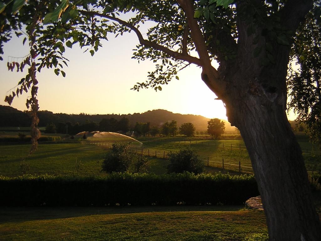 Agriturismo Trebisonda Country Resort Monzambano Εξωτερικό φωτογραφία